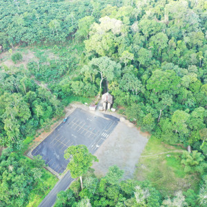 dji