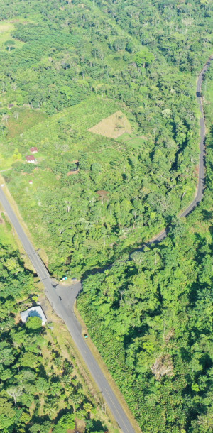 dji