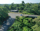 dji